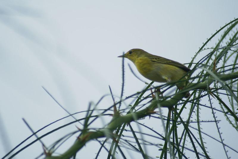 DSC02143.JPG