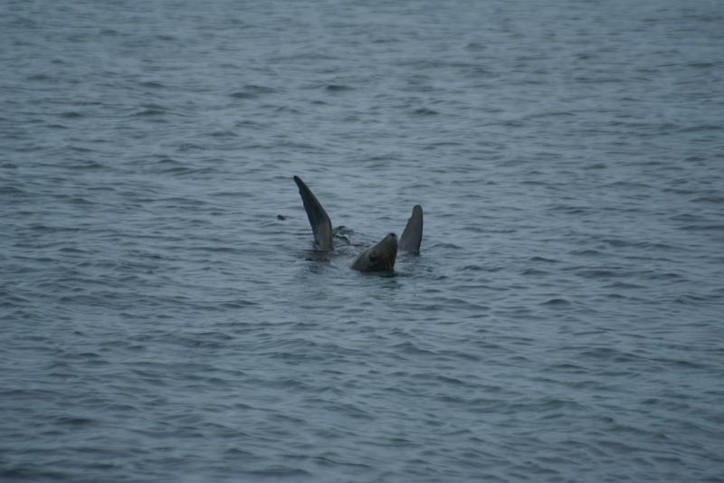 DSC02386.JPG