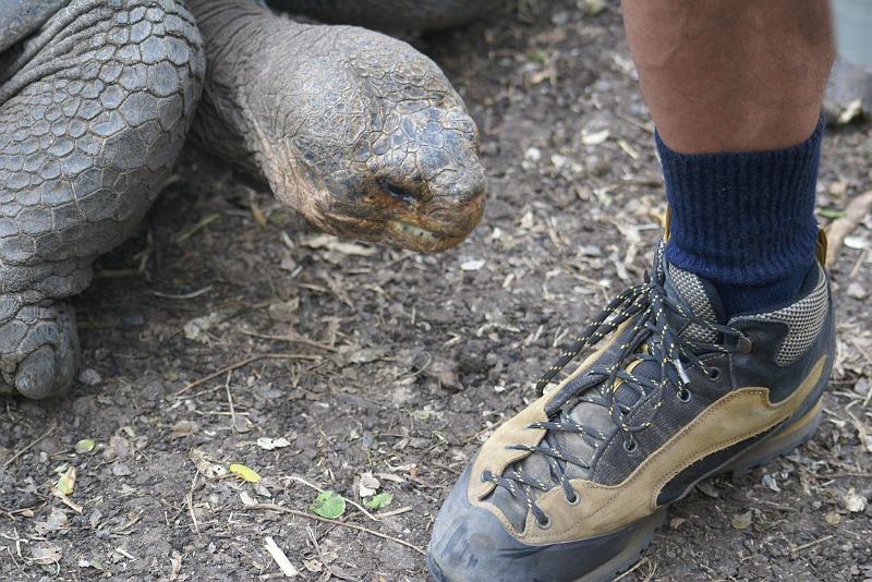 DSC02445.JPG - Der sieht aber lecker aus, der Schuh...