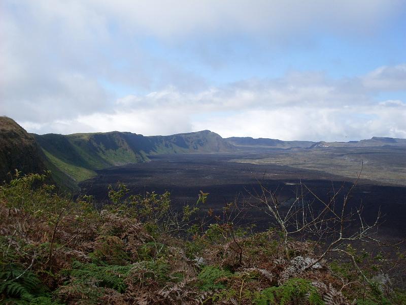 SDC10348.JPG