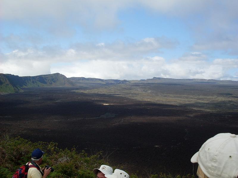 SDC10358.JPG