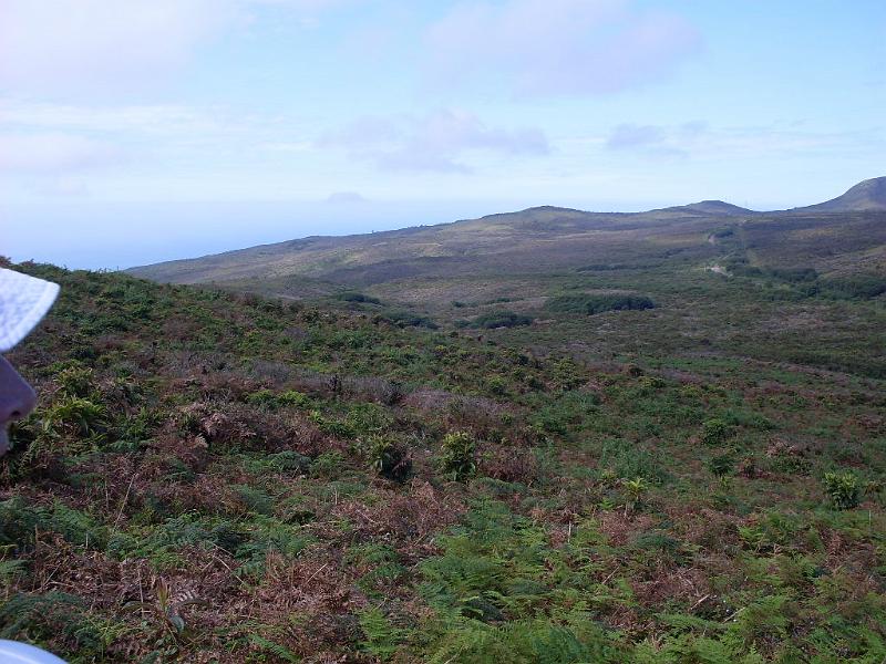 SDC10505.JPG