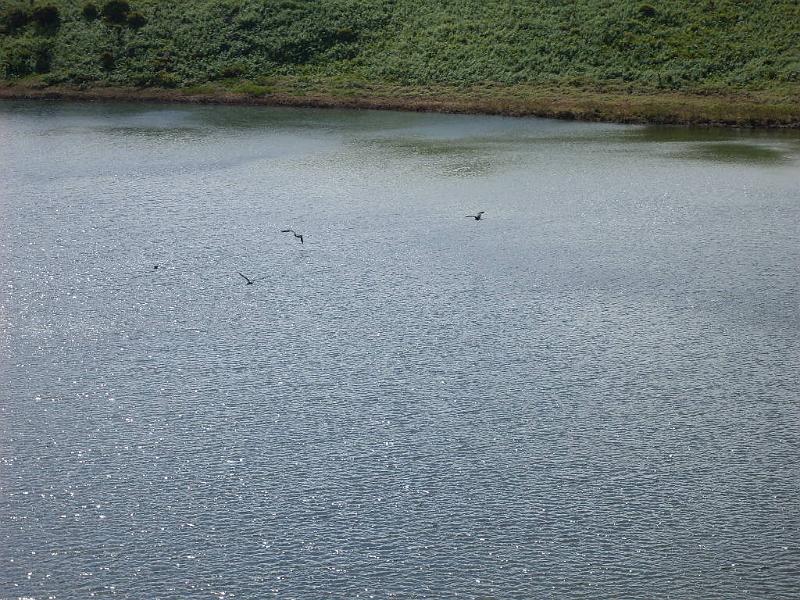 SDC10518.JPG