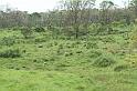 DSC01750
