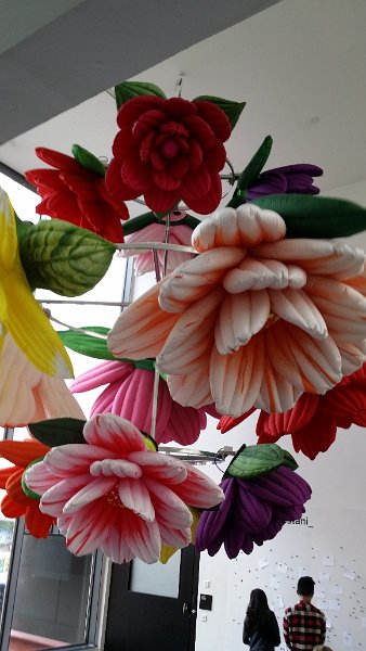 20160816_112350.jpg