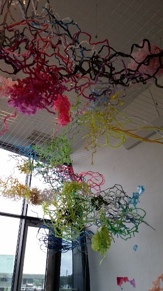 20160816_120814.jpg