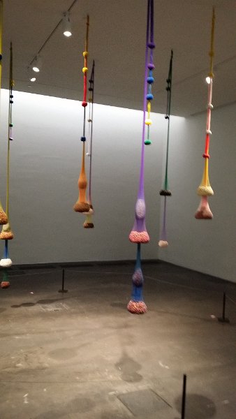 20160816_121904.jpg