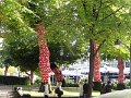 DSC00994