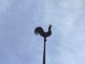 DSC00996