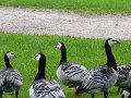 DSC01037