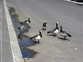 DSC01048