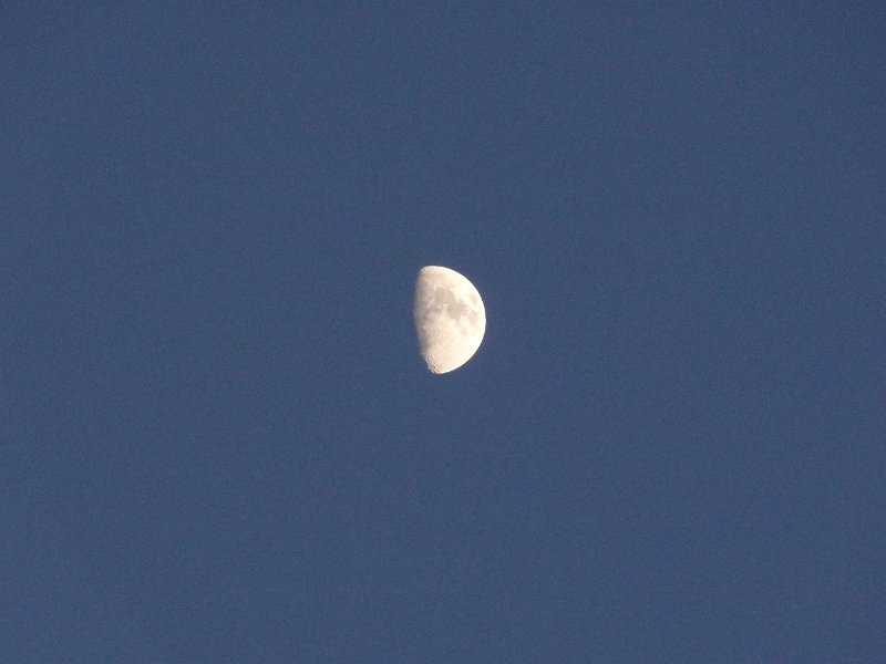 DSC02537.JPG