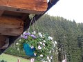 DSC02524