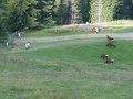 DSC02549