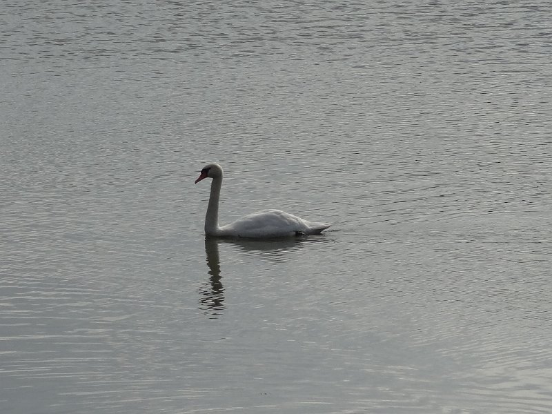 DSC02797.JPG