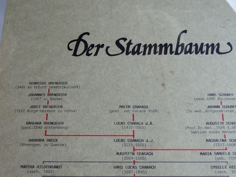 DSC02830.JPG - Stammbaum von Lici