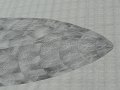 DSC02755