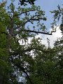 DSC02820