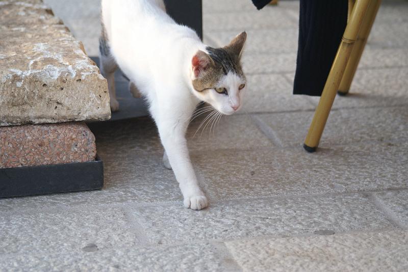 DSC02768.JPG