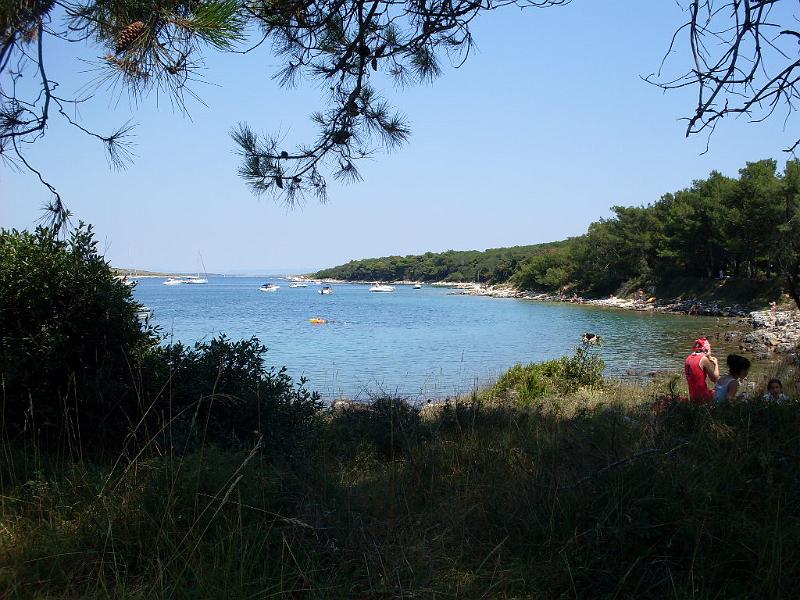 SDC11261.JPG
