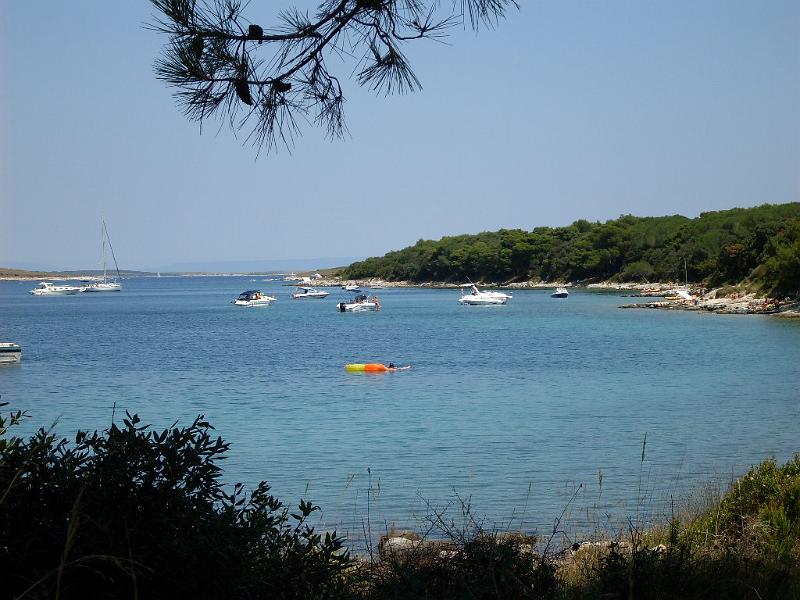 SDC11264.JPG