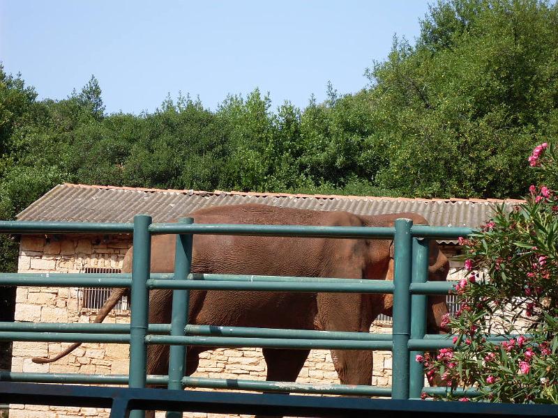SDC11343.JPG
