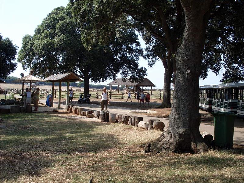 SDC11344.JPG