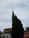 SDC11322