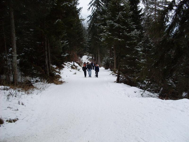 SDC10756.JPG