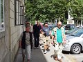 DSC07263