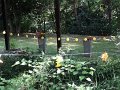 DSC02845