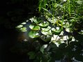DSC02887