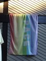 DSC02906