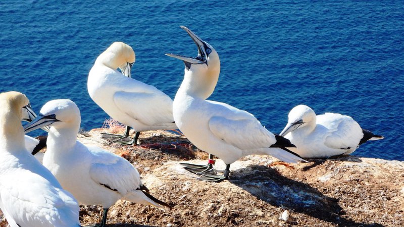 P1060185.JPG