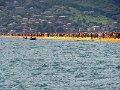 DSC00818