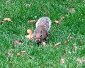 DSC05305
