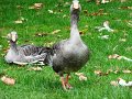 DSC05308