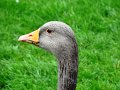 DSC05310
