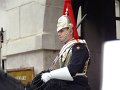 DSC05318
