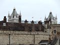 DSC05329