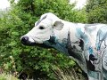 DSC05360