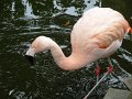 DSC05370
