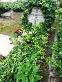 DSC04350