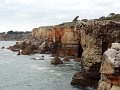 DSC04361