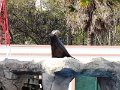 DSC06479