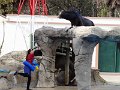 DSC06482