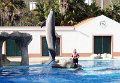 DSC06518