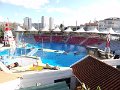 DSC06546