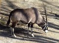 DSC06566