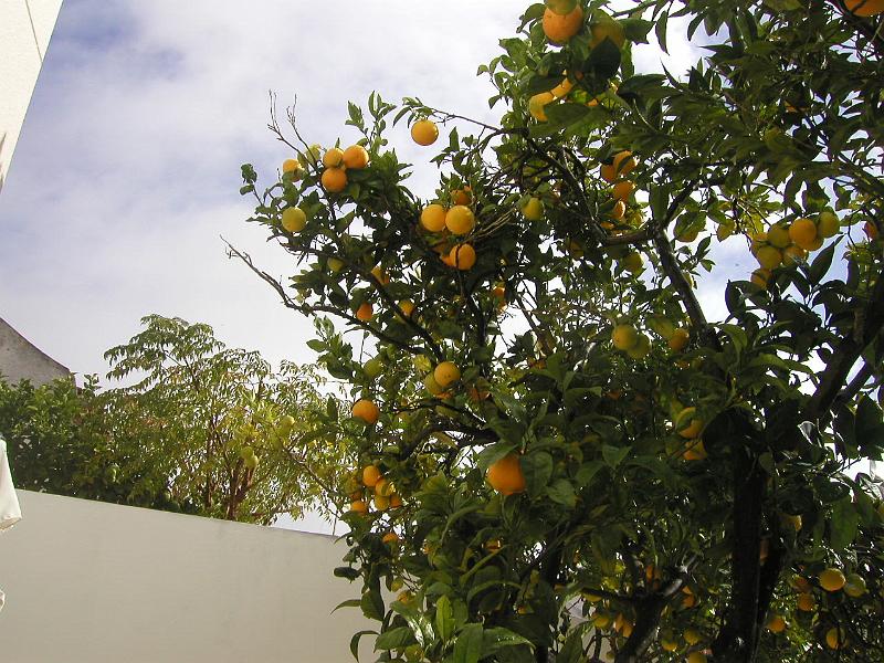 PA300015.JPG